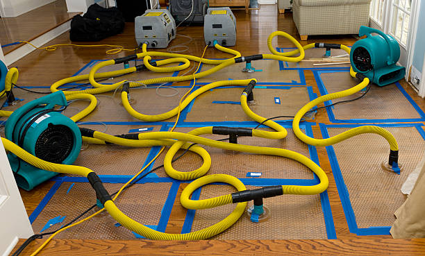 Professional Water Damage Repair technician working in Hilbert, WI